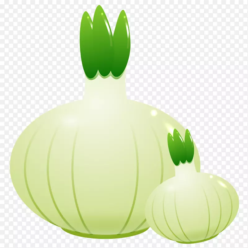 ��ͨ�ֻ��߲�װ�κ���������-������