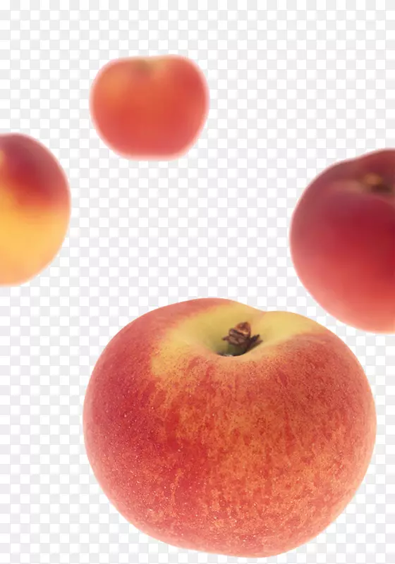 ����ˮ�������ز�-������