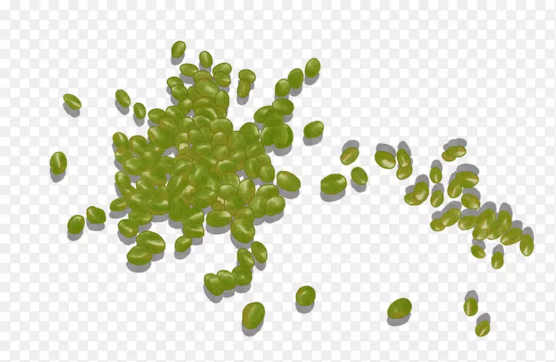 ��ͨ�ֻ���ɫ��ʳ�̶�-������