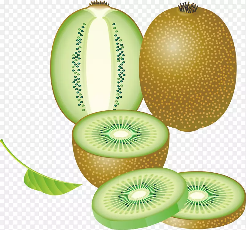 ⨺���pngʸ���ز�-������