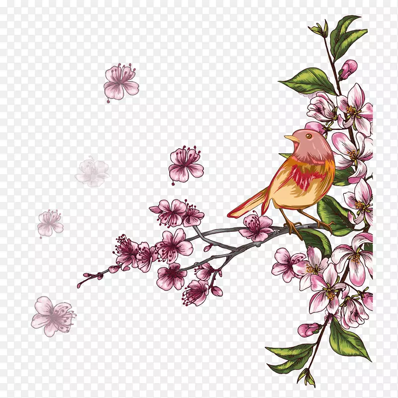 �ֻ��һ������һ���֦-������