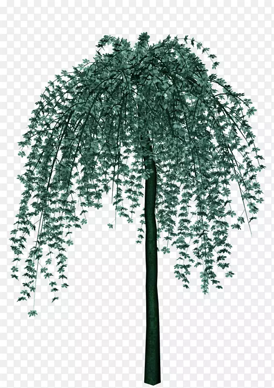 ��ͨװ��������ֲ��������ز�-������