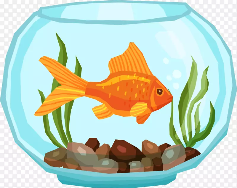 ��ͨ�ɰ�С����װ�ζ���ͷ��-������