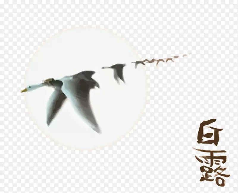 ����ʸ��������¶-������