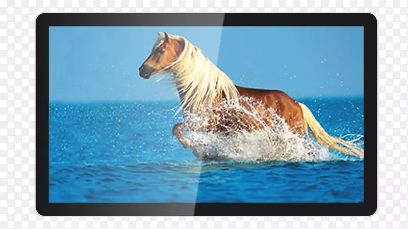 Һ��������ʾ��-������