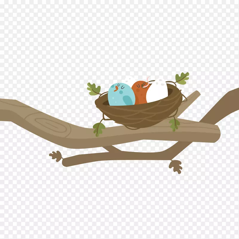 ��ͨ��֦�ϵ�����-������