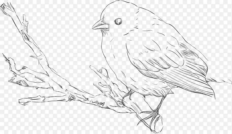 ��֦�ϵ� С��-������