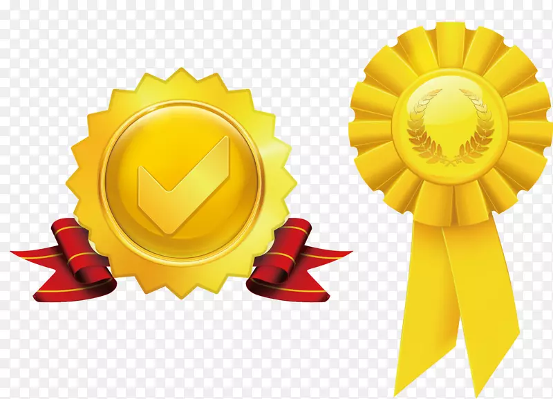 ��ɫ�������-������