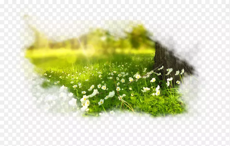 ������ɫ�羰С�ݲݴ�-������