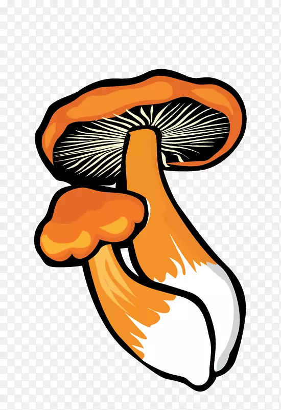 ��ͨ�ֻ��߲�װ�κ������-������