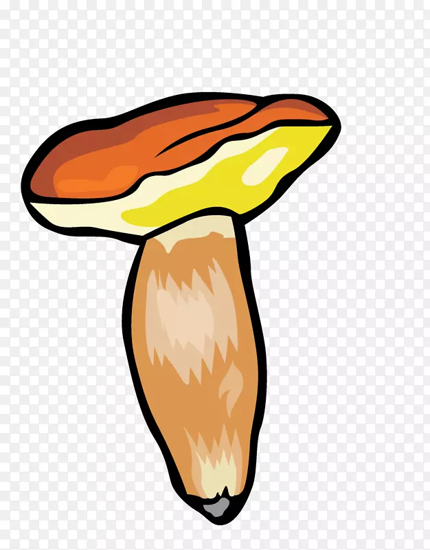 ��ͨ�ֻ��߲�װ�κ������-������