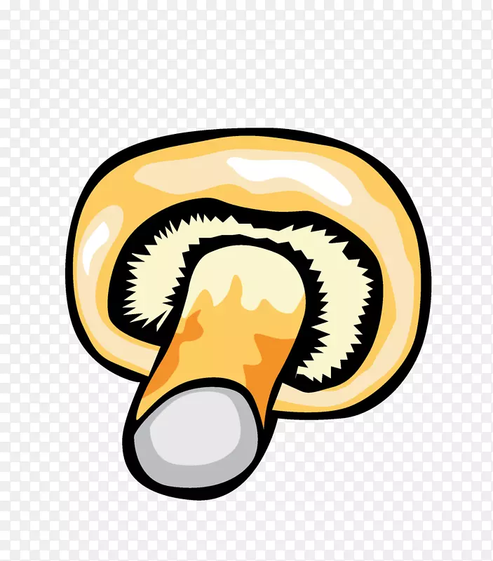 ��ͨ�ֻ��߲�װ�κ������-������