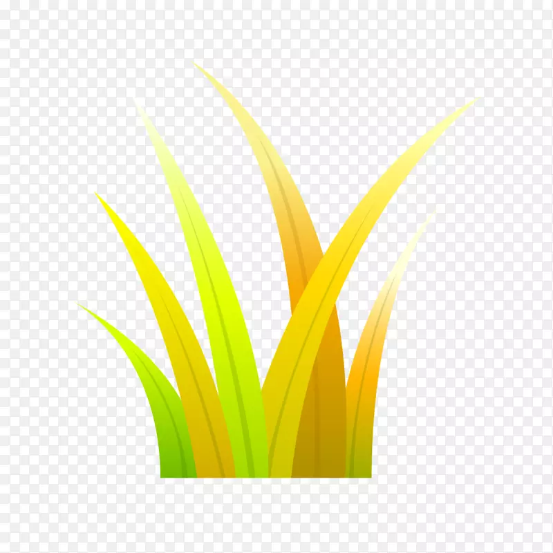 ��ɫ��С��-������