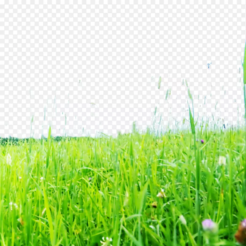 �ݴ�-������