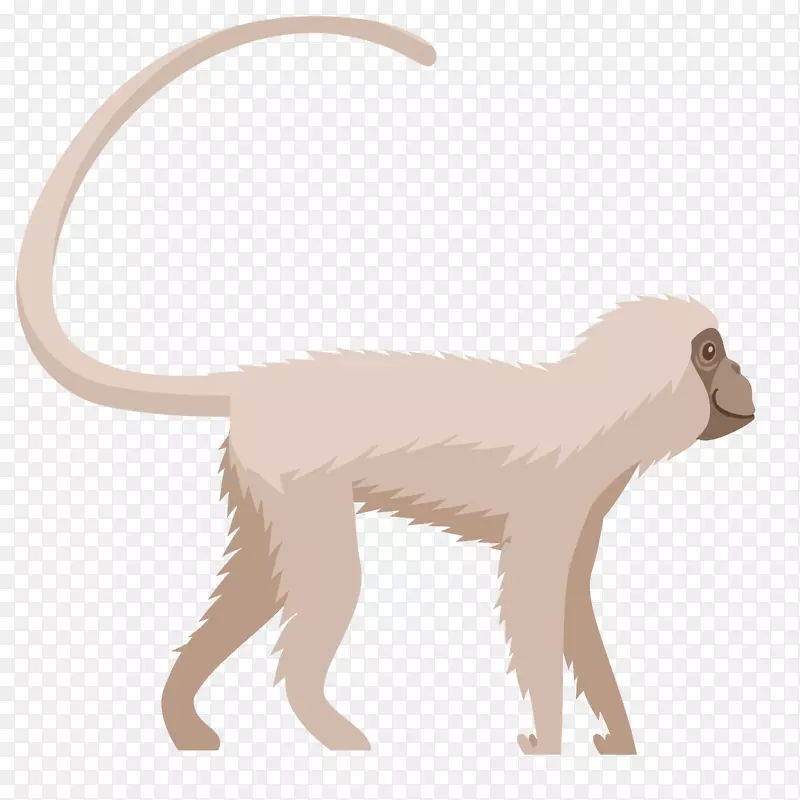 ��ͨ�ɰ�С����װ�ζ���ͷ��-������