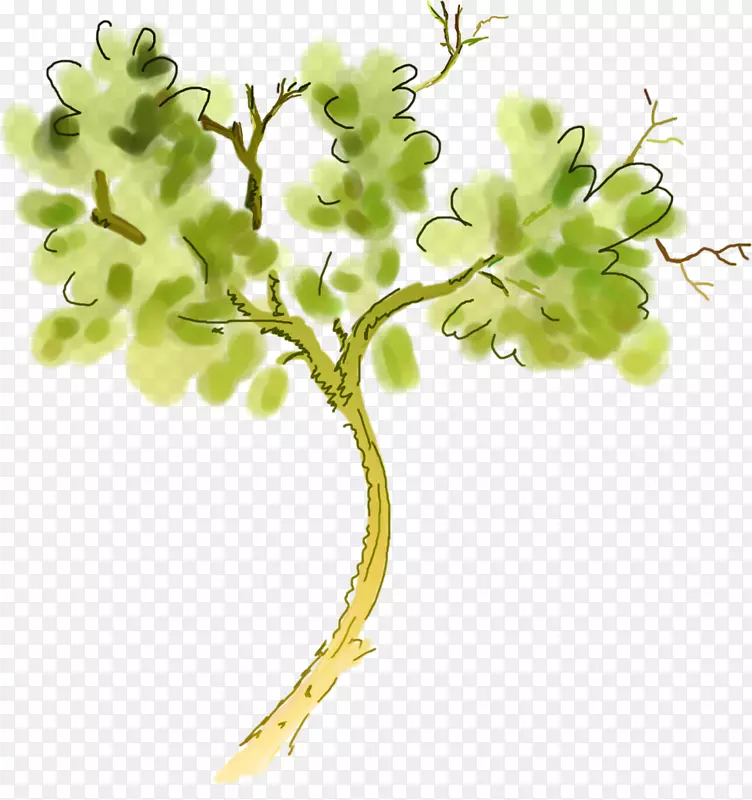 ��ʿ�ͨ������ֲ��������ز�-������