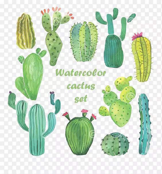 �����ƿ�ˮ�ʻ�.ˮ��������-������