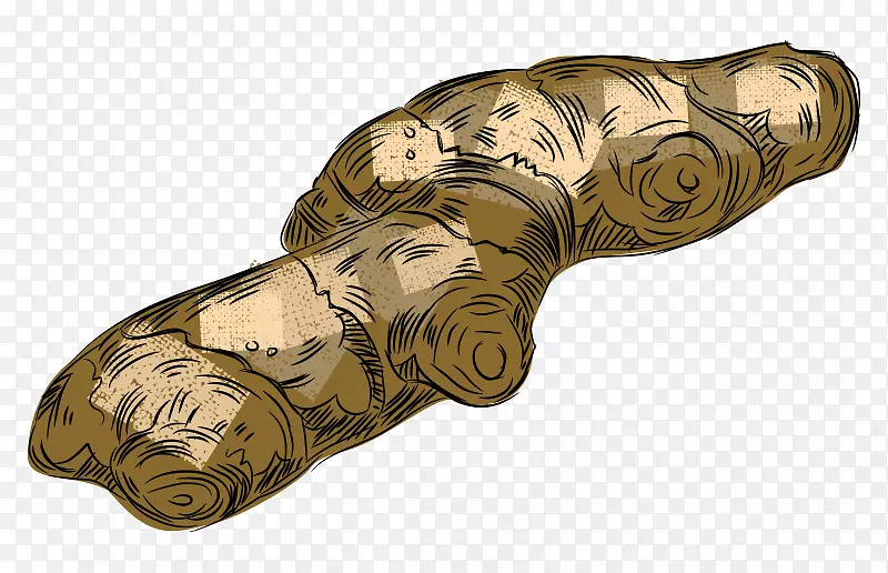 �����߲˹Ϲ��ֻ�廭дʵ�����-������