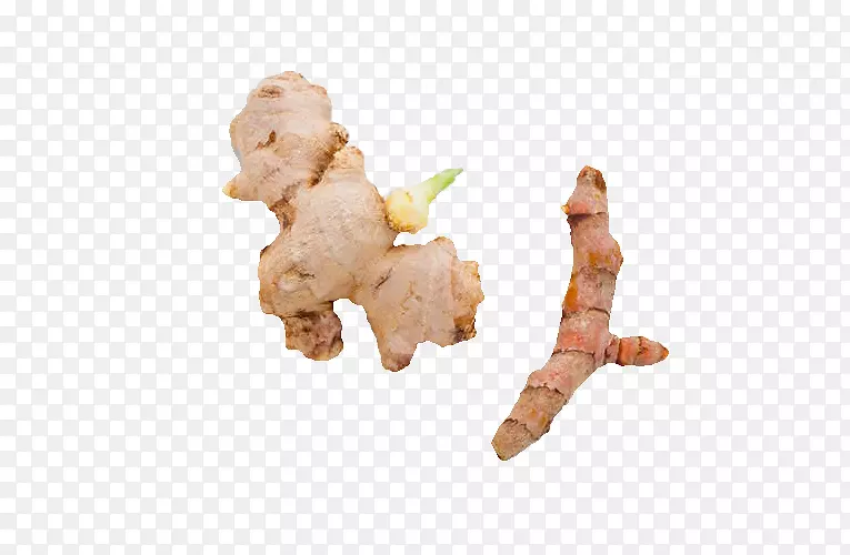 ������ζƷ��-������