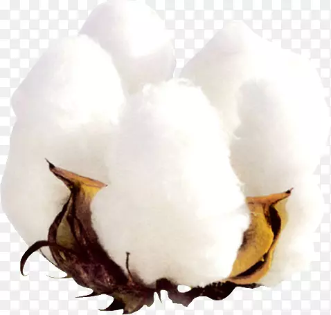 ��ɫ�޻�PNG-������