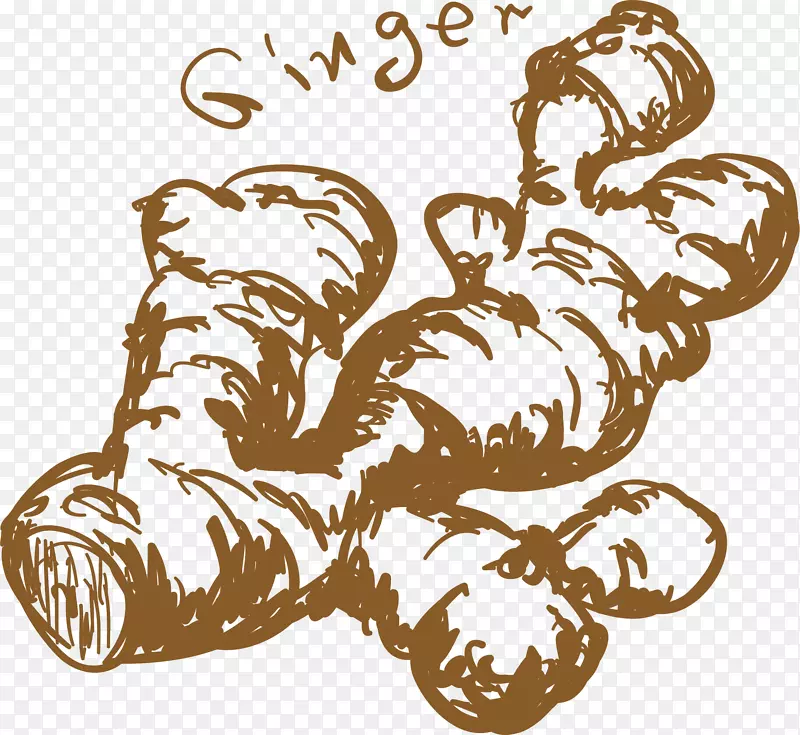 �������ʳ������-������