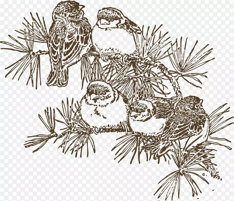 ��֦��һȺС��-������