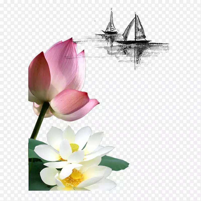 �й��� ī�� ��ͳ-������