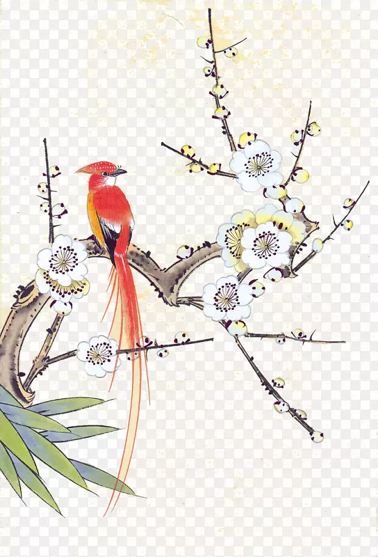 ��֦�ϵ�ϲȵ-������