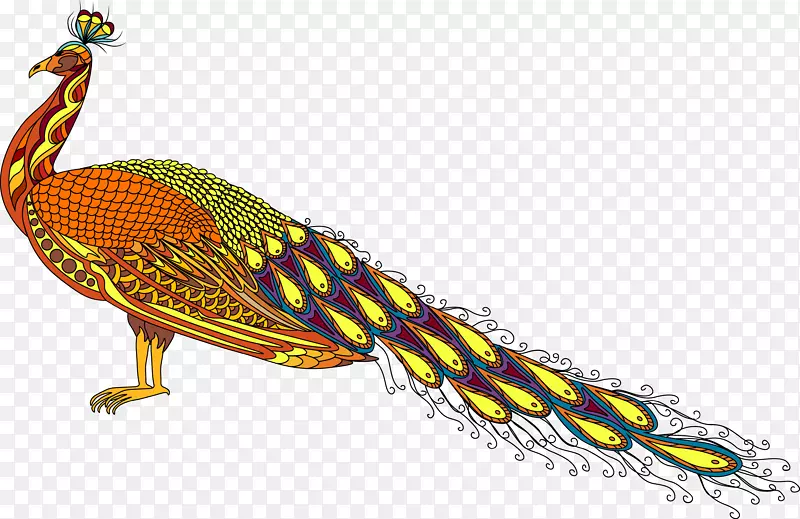 ��ɫ��ȸģ��-������