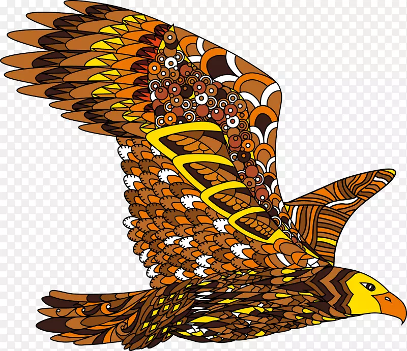 ��ɫ��ӥģ��-������