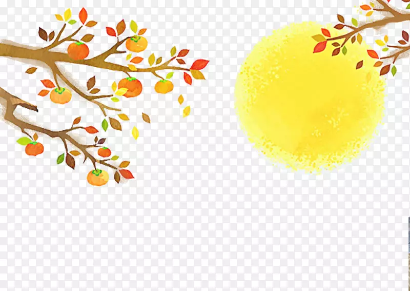 ���Ӳ廭װ���ز�-������