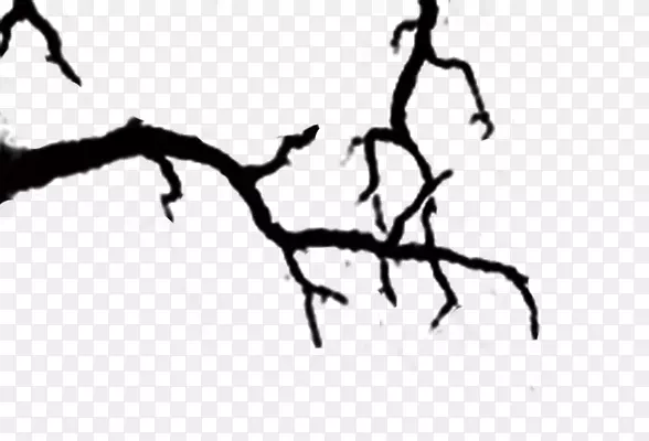 ��֦��֦�ز�Ԫ��-������