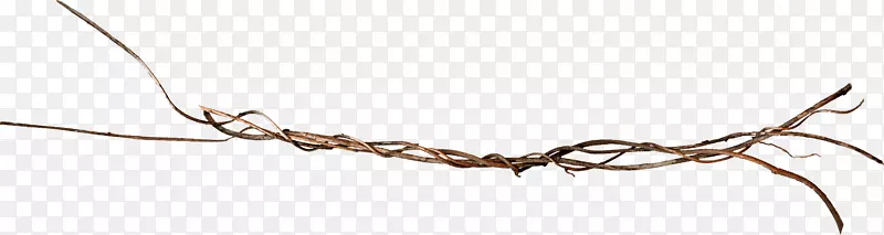 Ư����ɫ��֦-������