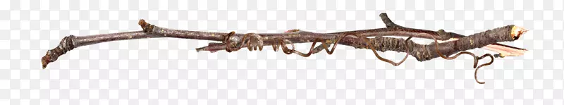 ��ɫ��֦-������