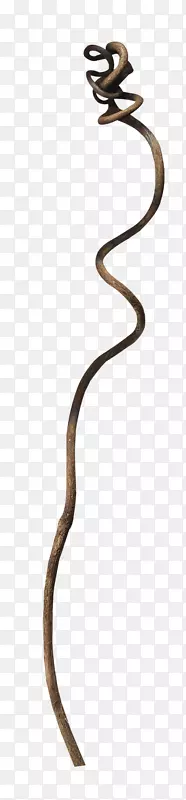 ��ɫƯ����֦-������