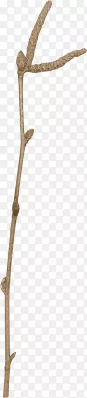 ��֦װ���ز�-������