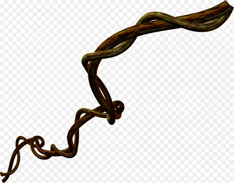 ��ɫƯ����֦-������