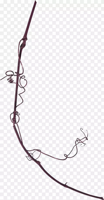 ֦������ز�-������