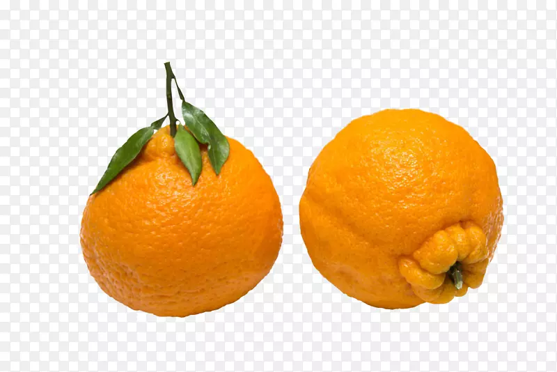 ʵ������ˮ������-������