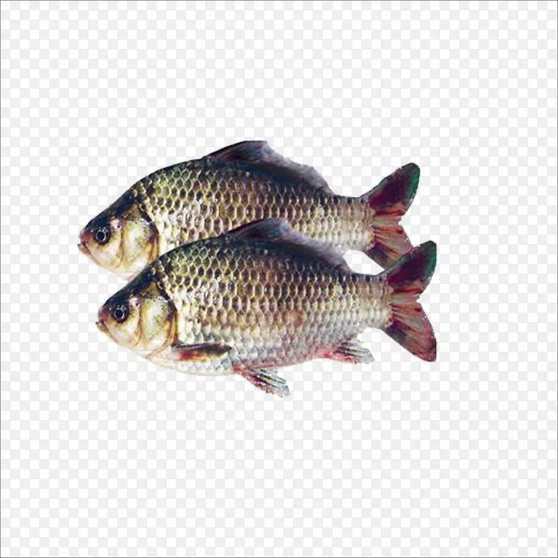 ������-������