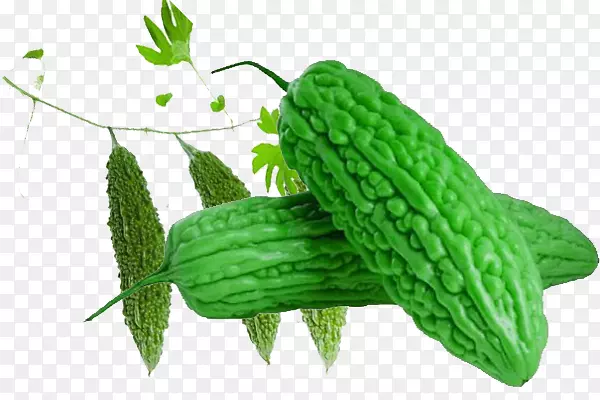 ʵ����ɫ���ʿ��-������