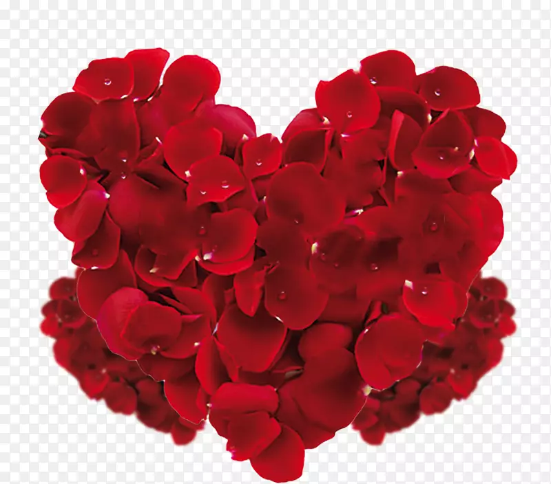 ��Ϧ���˽ں�ɫ����-������