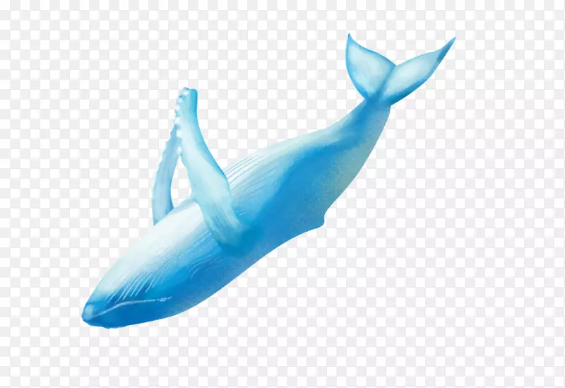 ��ͨ�ɰ�С����װ�ζ���ͷ��-������