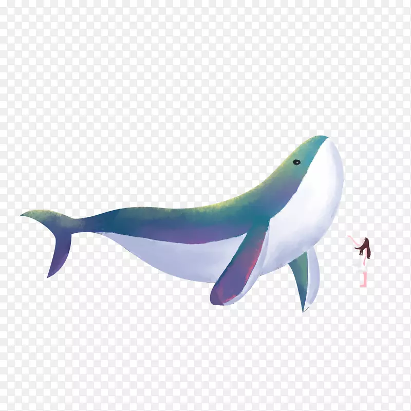 ��ͨ�ɰ�С����װ�ζ���ͷ��-������