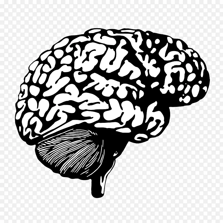 �˹������о���ѧ�ҿ�ѧʵ����-����-������