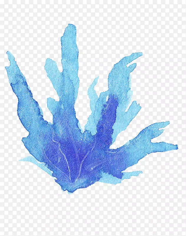 ��ɫ���ݺ���ֲ��-������