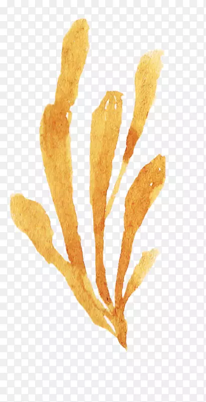 ������ɫˮ�ʷ�-������