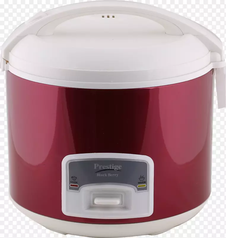 ʵ���ɫ�緹�ҵ緹��-������