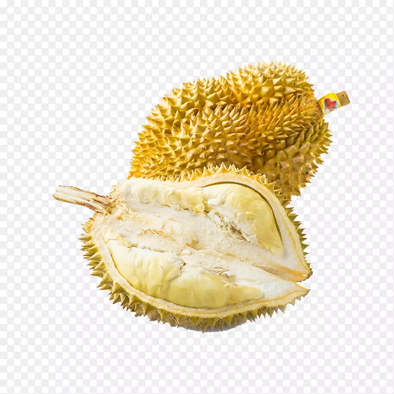 ˮ����ʳ����ز�-������