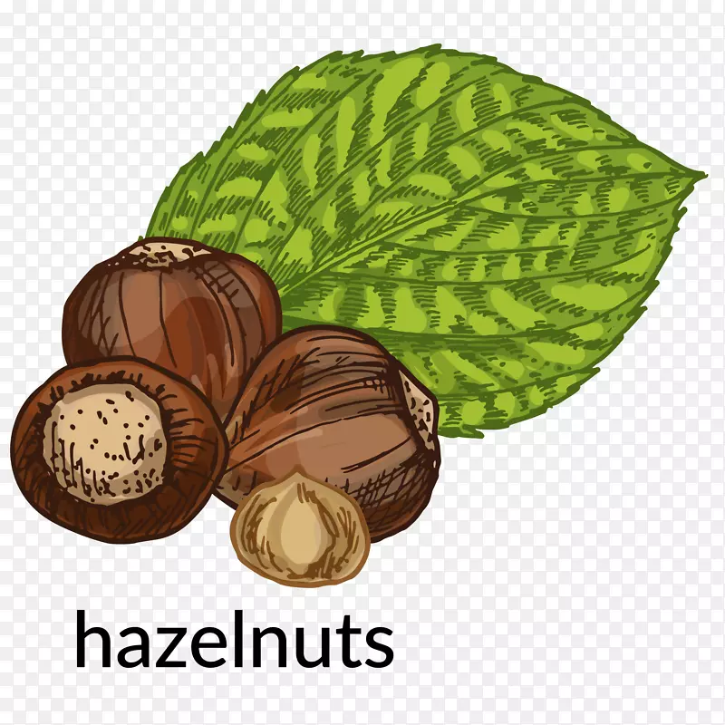 ʸ��������PNG-������